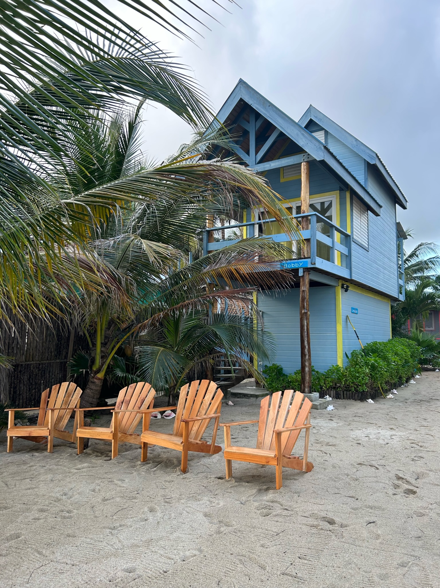 Sand Dollar Exterior